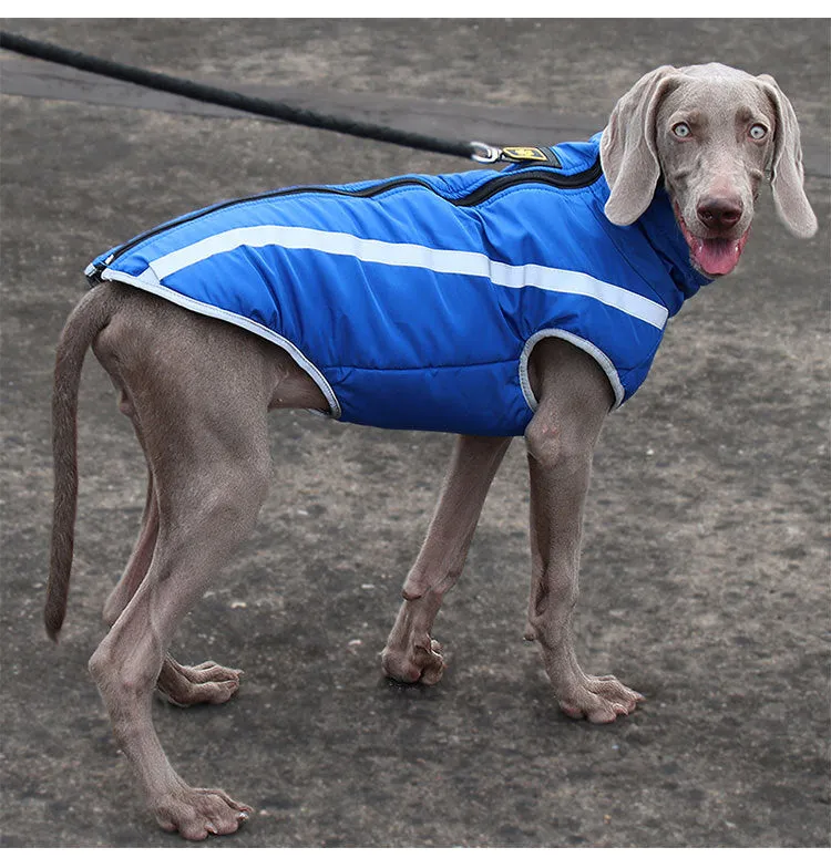 A a Pets' Luxurious Rain & Wind' Protector Jacket for Dogs - Blue