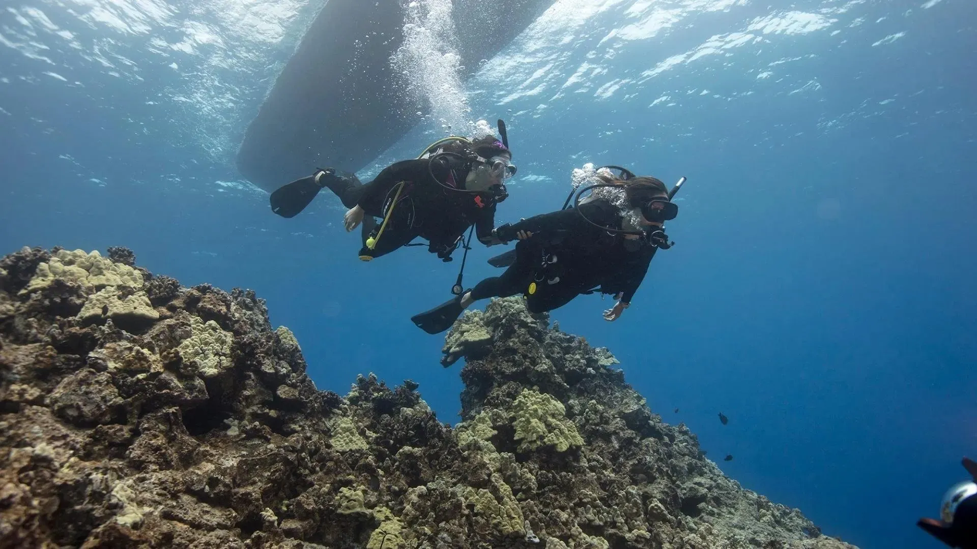 Guided Scuba Diving Tours (Lauderdale-By-The-Sea)