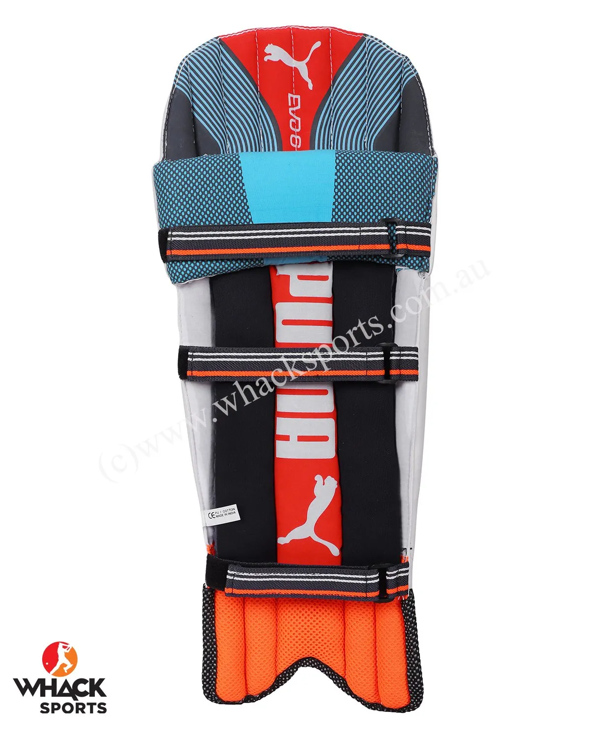 Puma Evo 6 Cricket Batting Pads - Youth