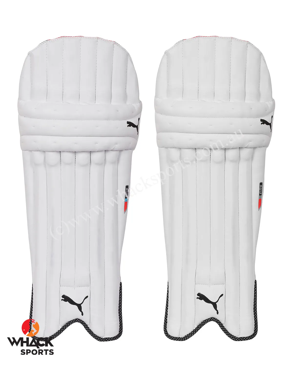 Puma Evo 6 Cricket Batting Pads - Youth