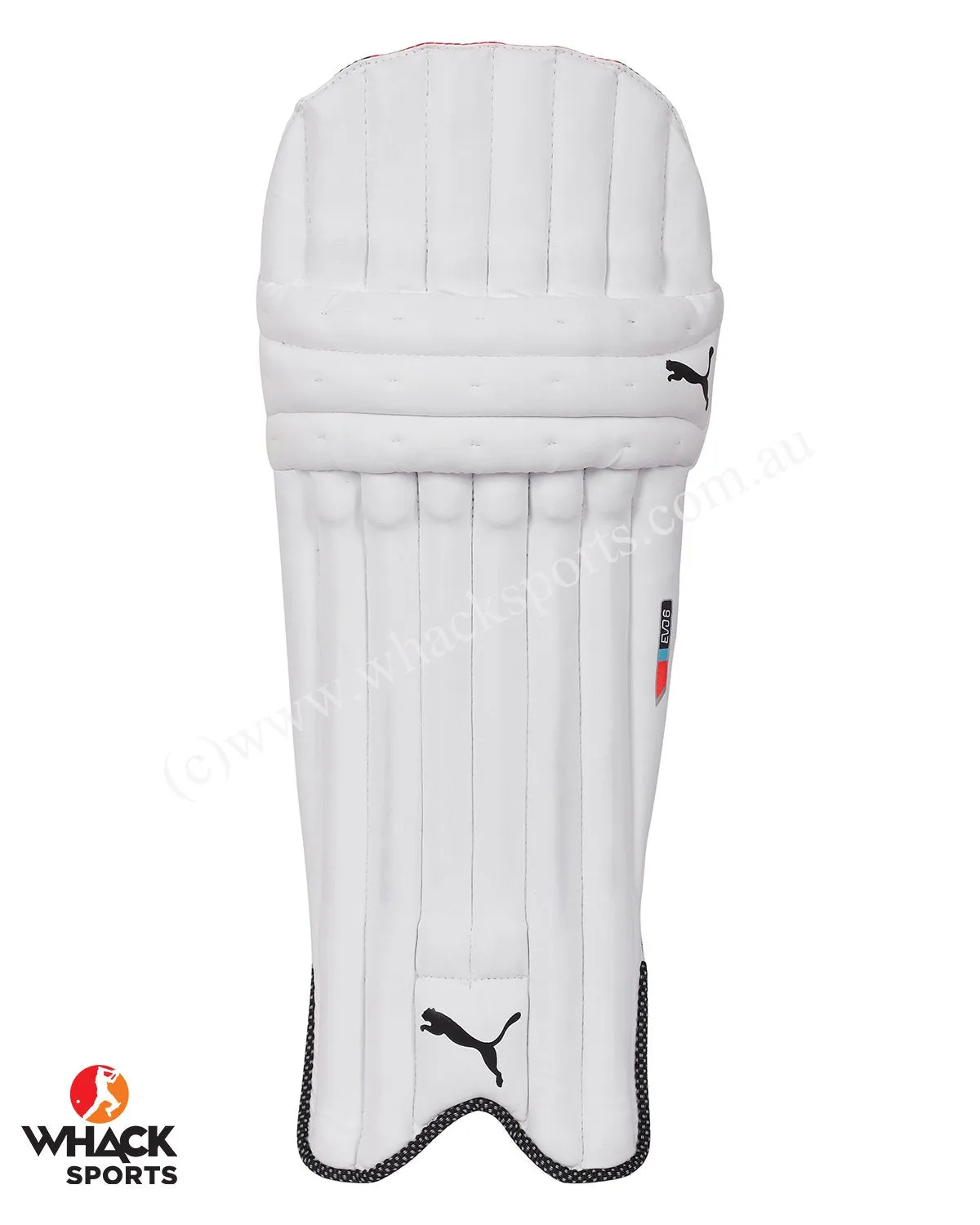 Puma Evo 6 Cricket Batting Pads - Youth